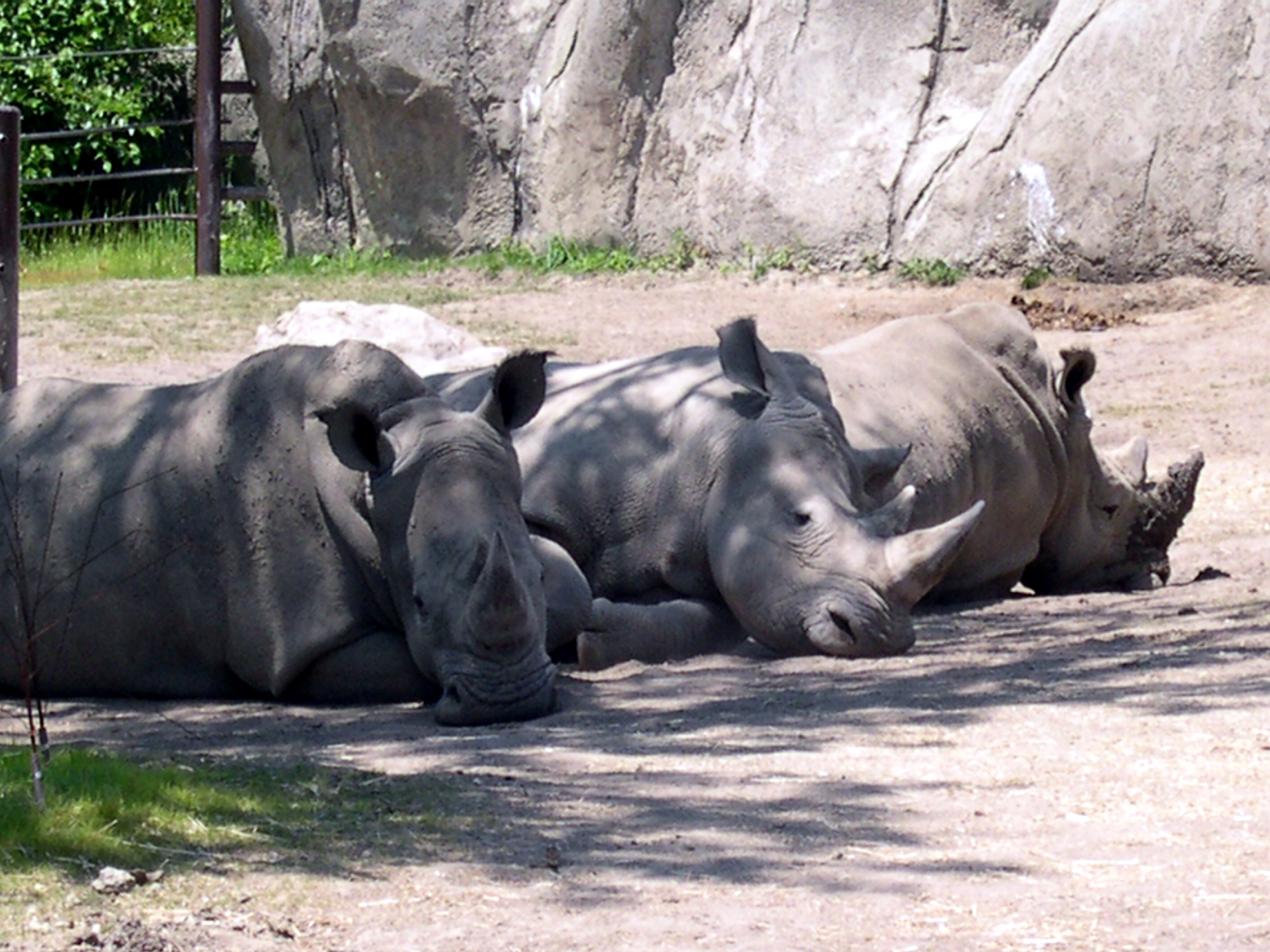 DSCN0595.JPG