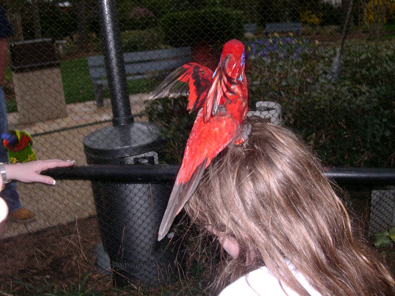 Aaah!  Get it off me!  Get it off me!