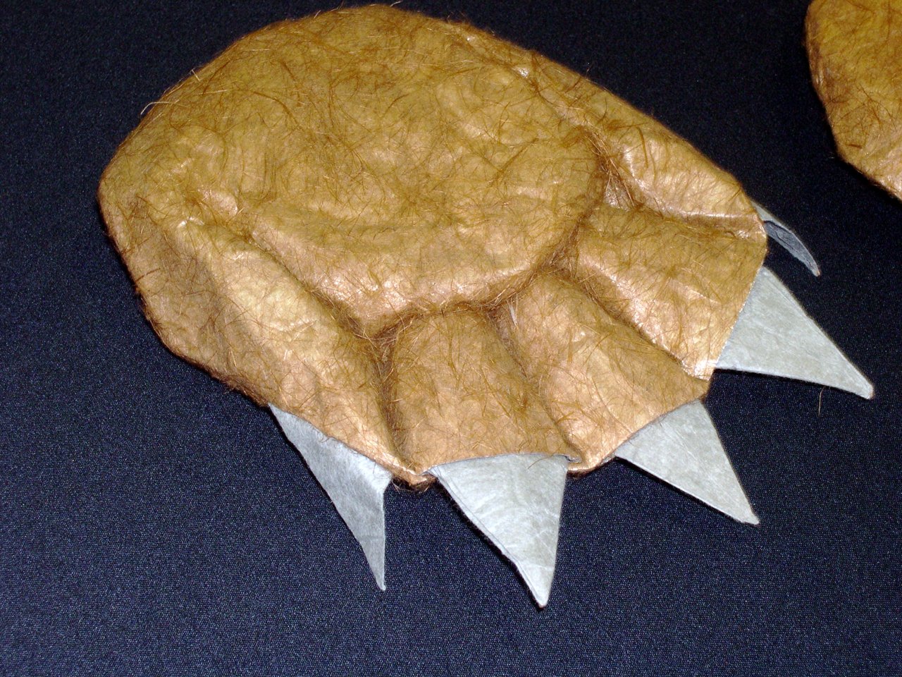 bear claw