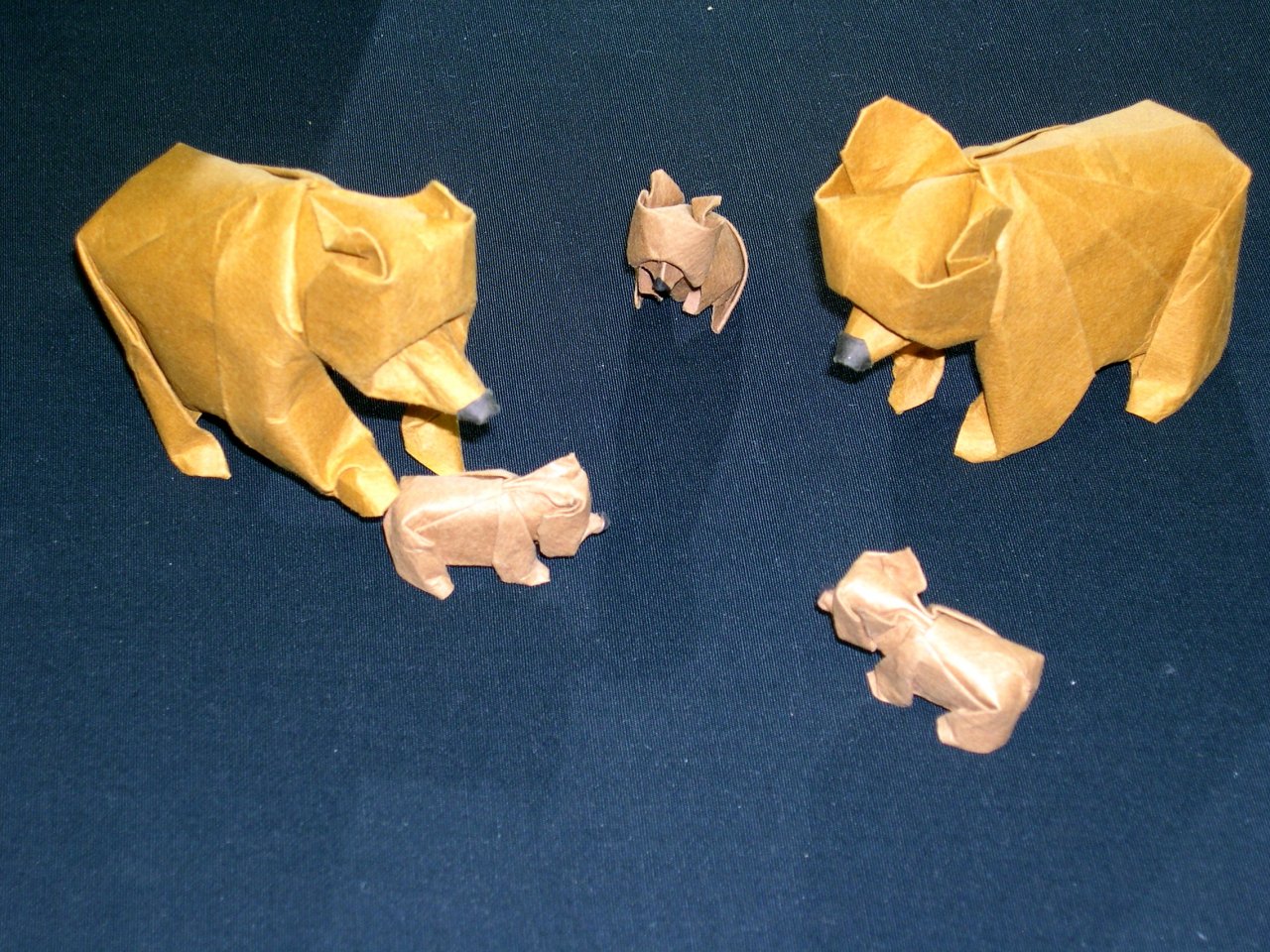 bear family (2)
