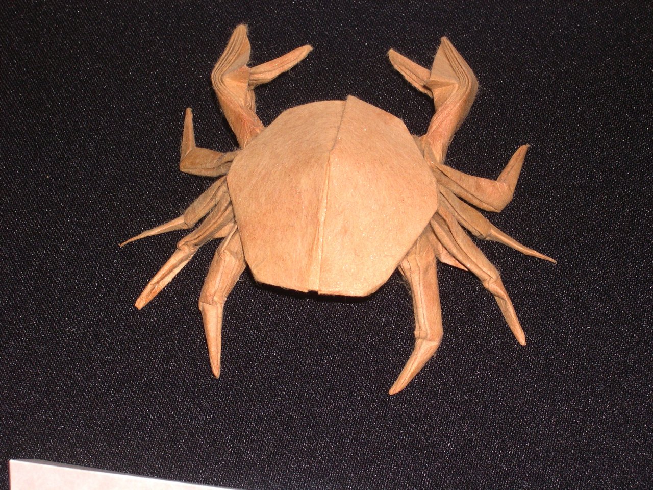 crab