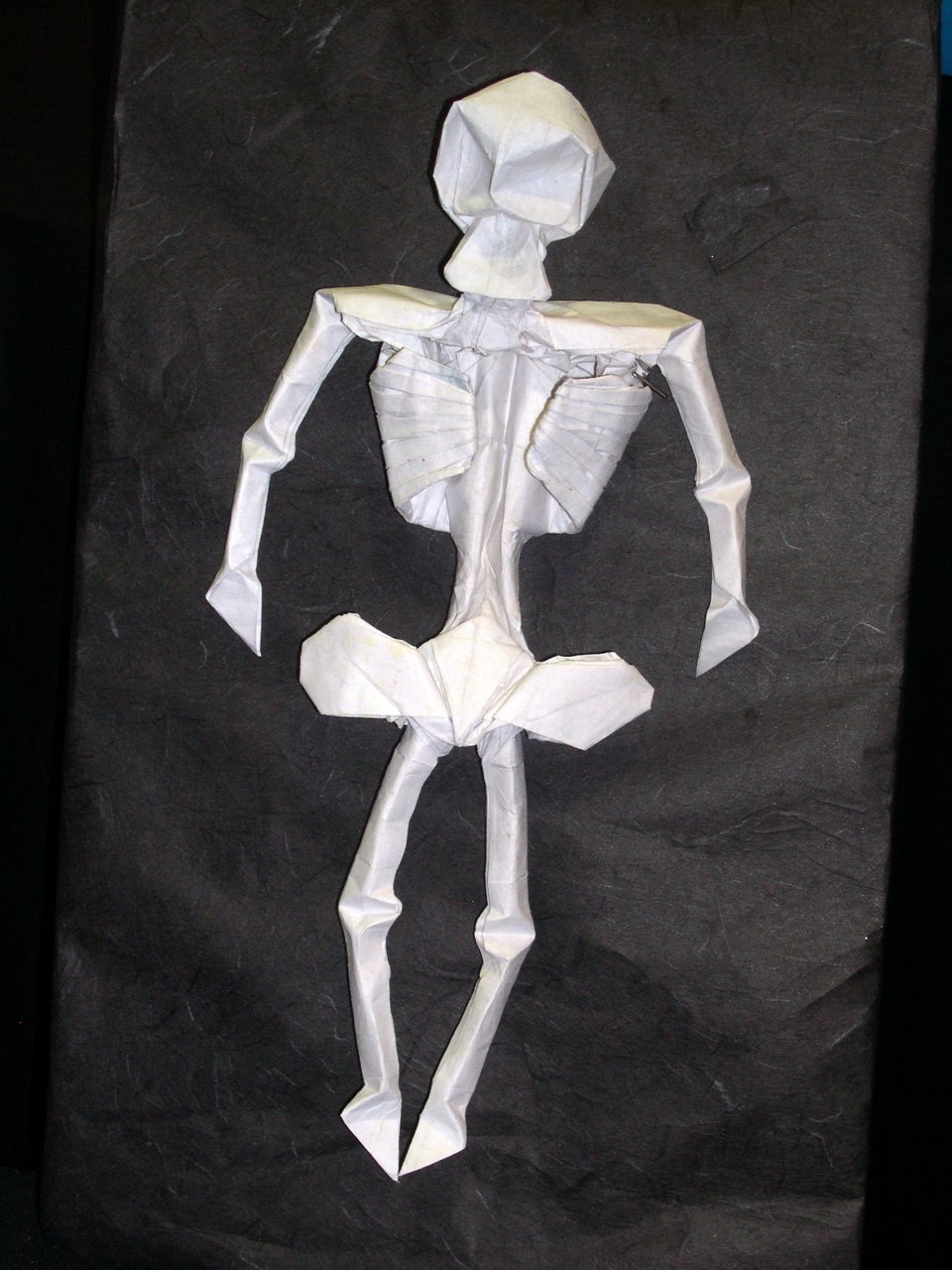 skeleton