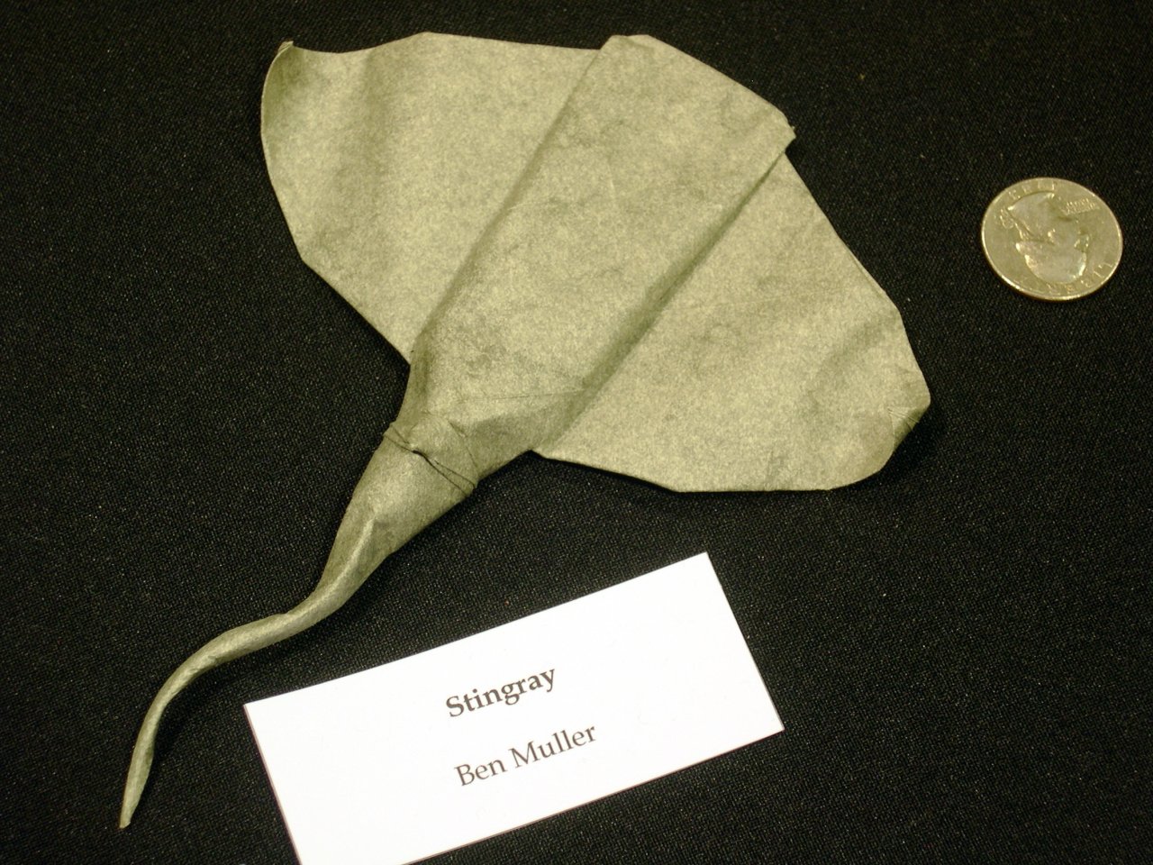 stingray (by Ben Muller)