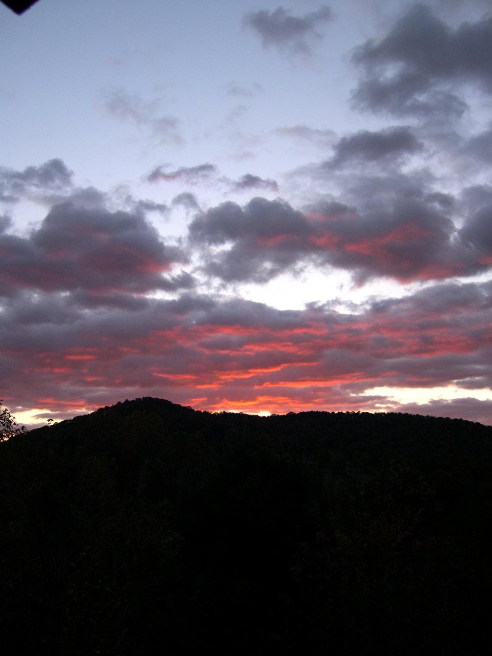DSCN2886.JPG