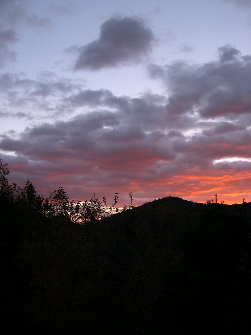 DSCN2893.JPG