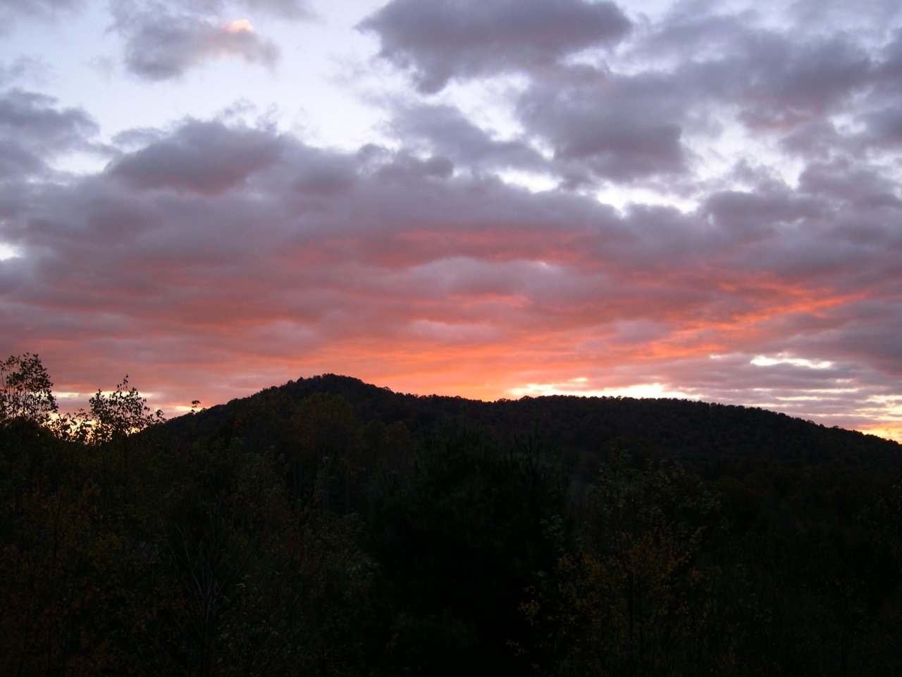 DSCN2896.JPG