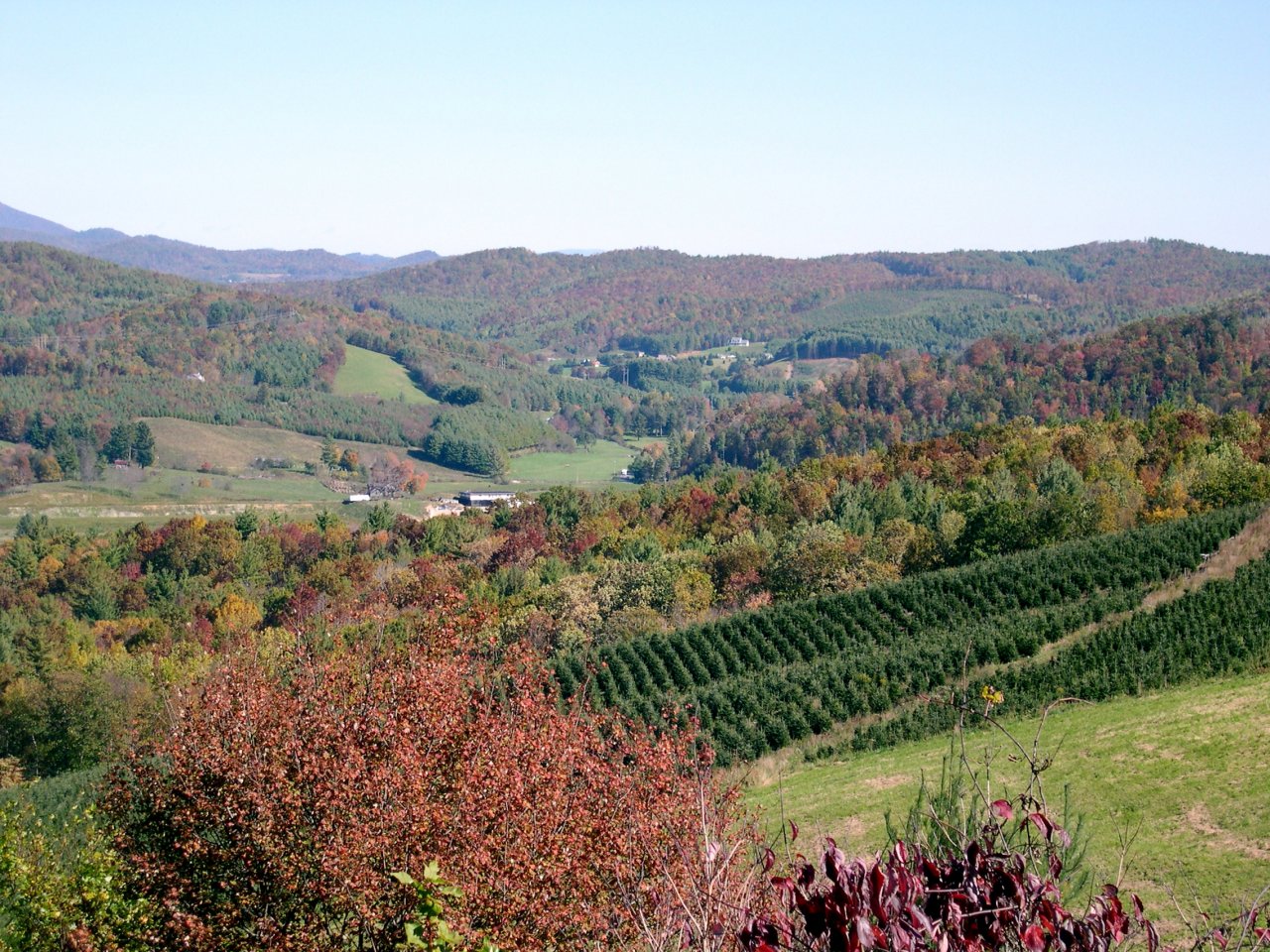 Grandview Overlook