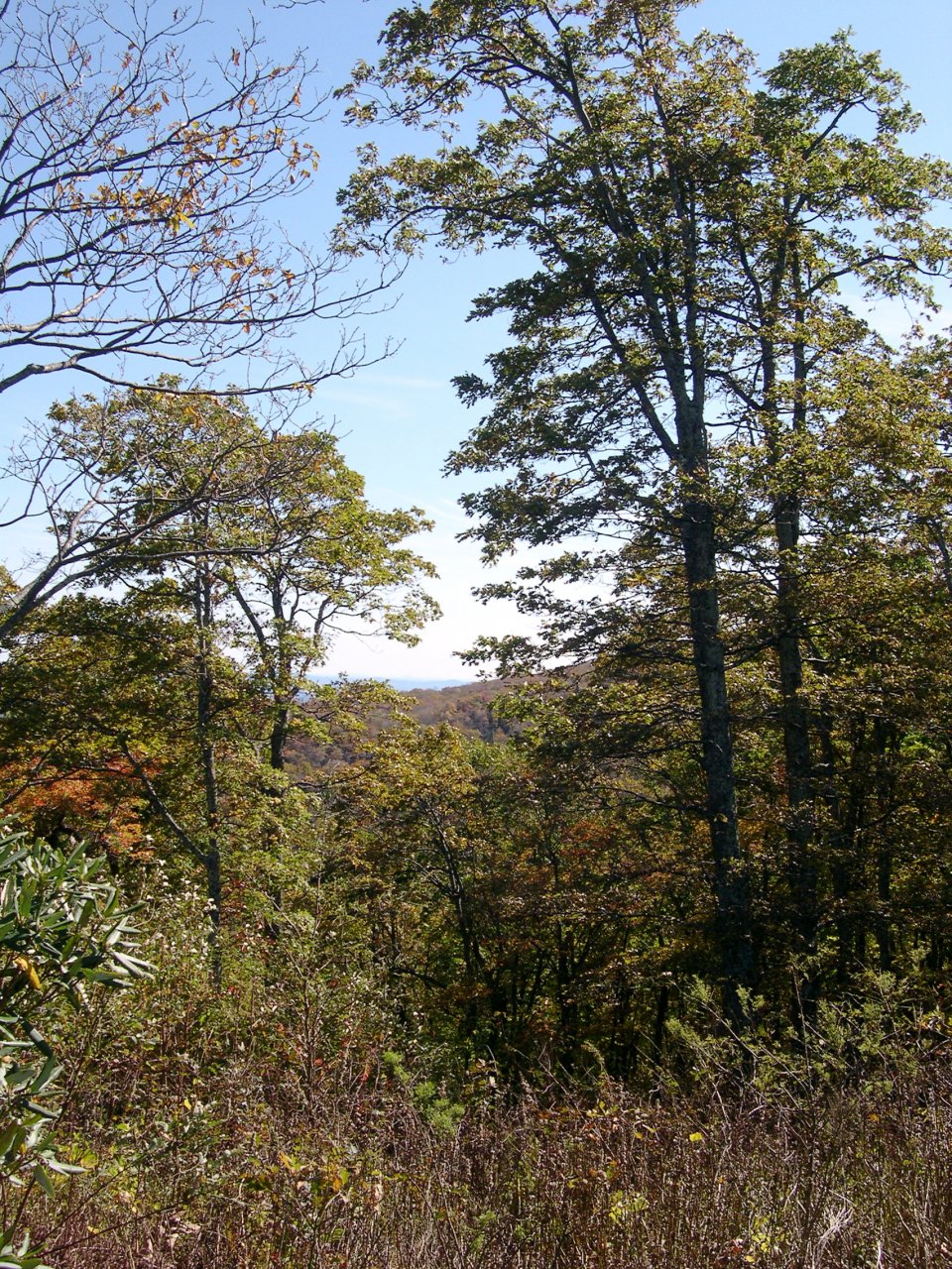 Green Valley Overlook
