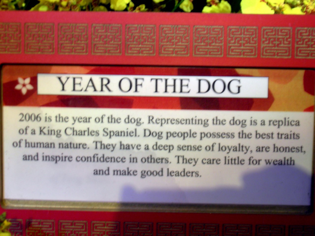 year of the dog
