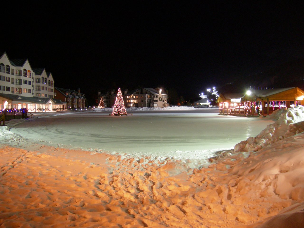 ice skating: the pond at night