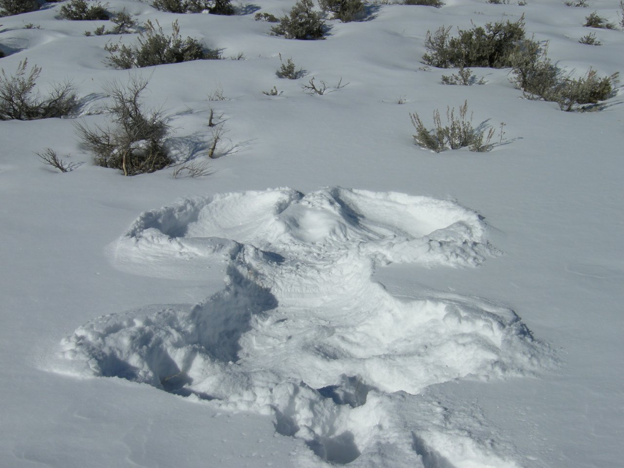 Cynthia made a snow angel