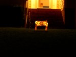 DSCN1427.JPG