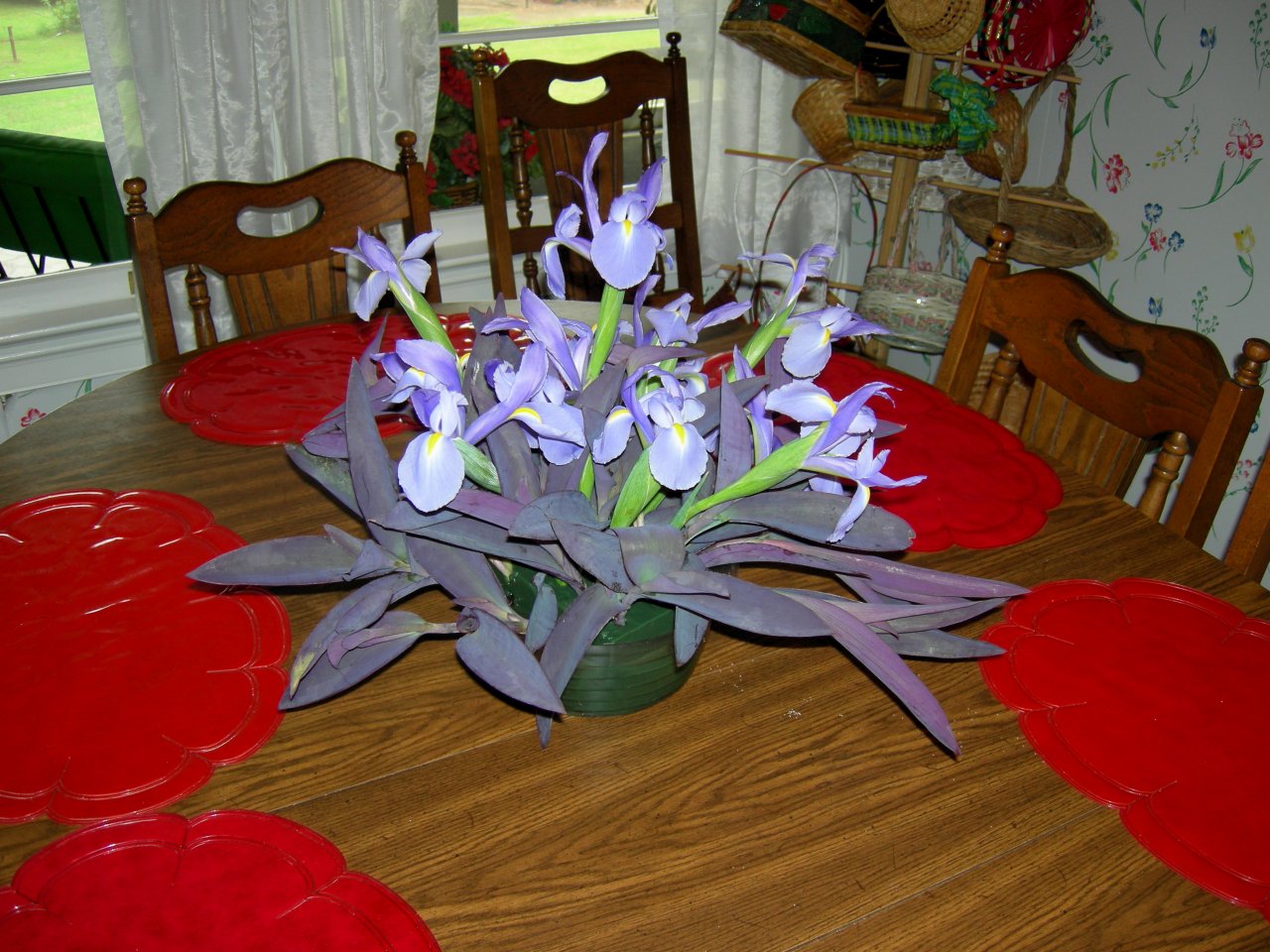 DSCN0784.JPG