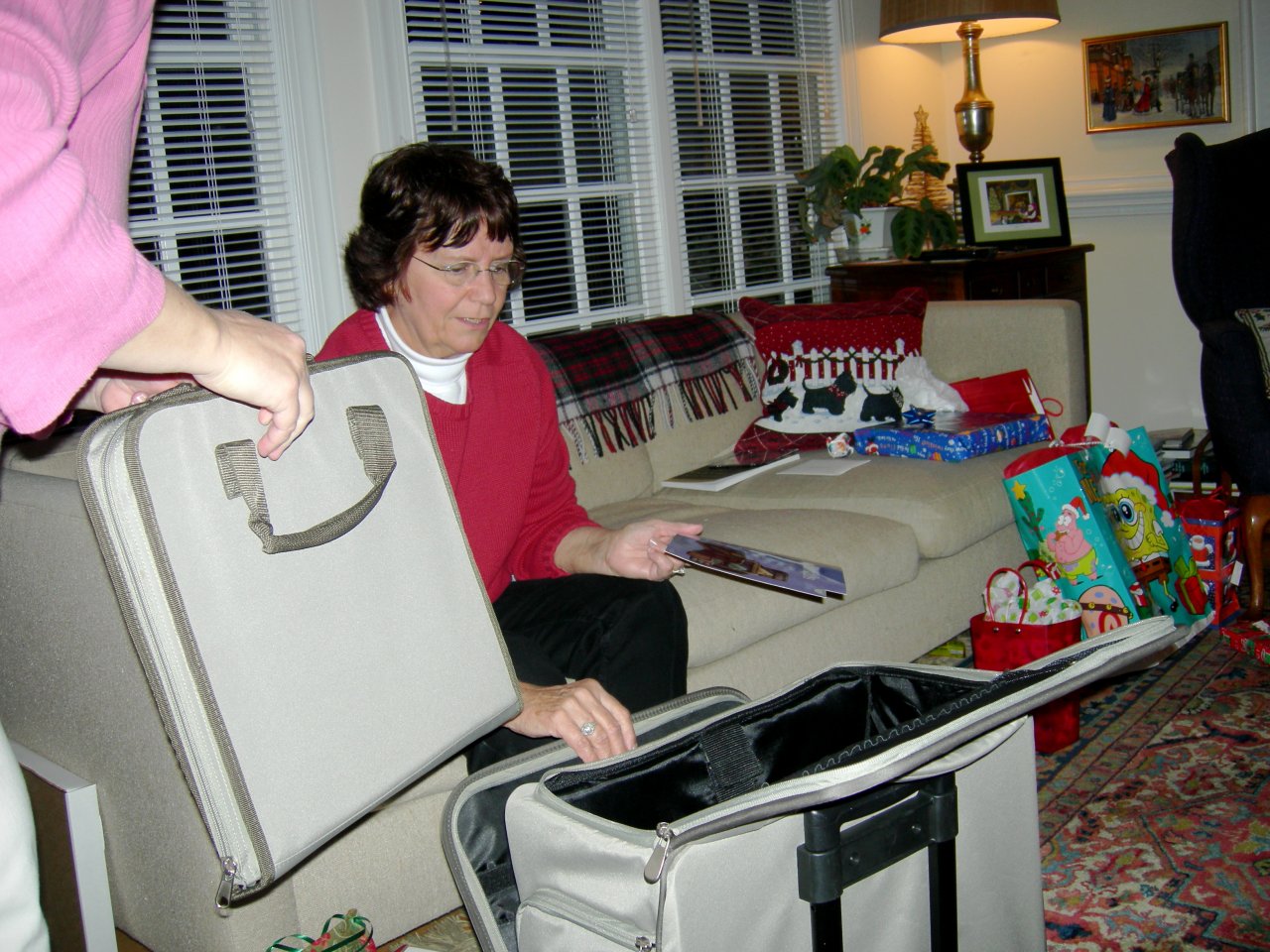 Sally got a crafting organizer