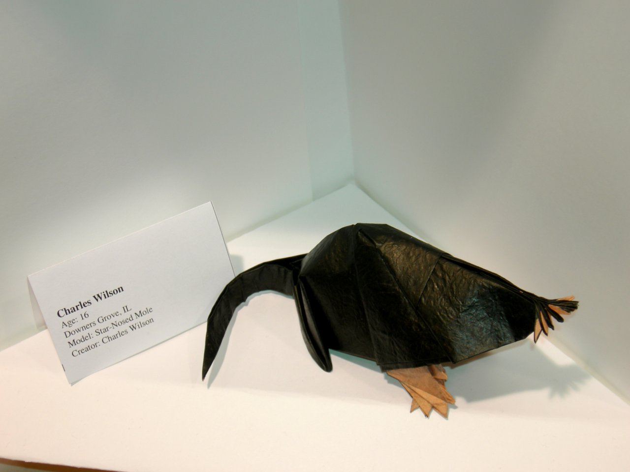 Star-Nosed Mole