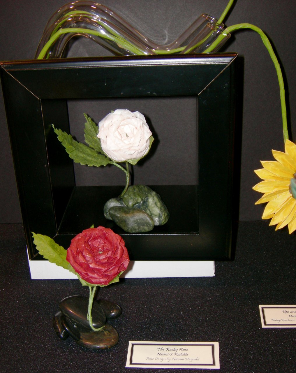 Hayashi Rocky Rose