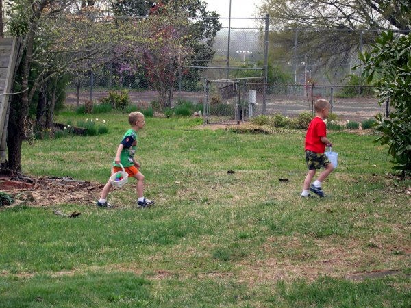 Egg Hunt (9)