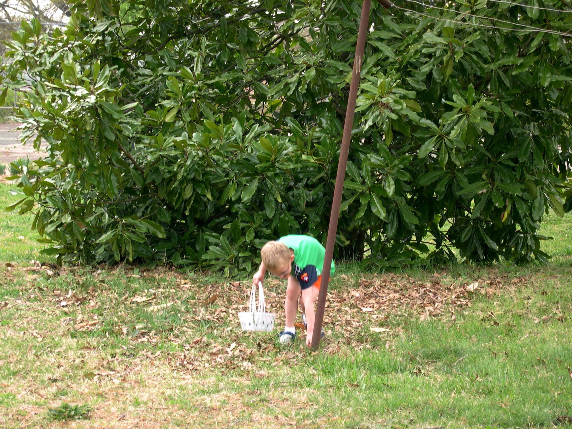 Egg Hunt (10)