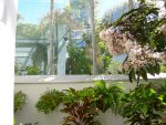 Butterfly Conservatory