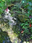Butterfly Conservatory