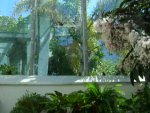 Butterfly Conservatory