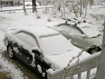 Our Cars