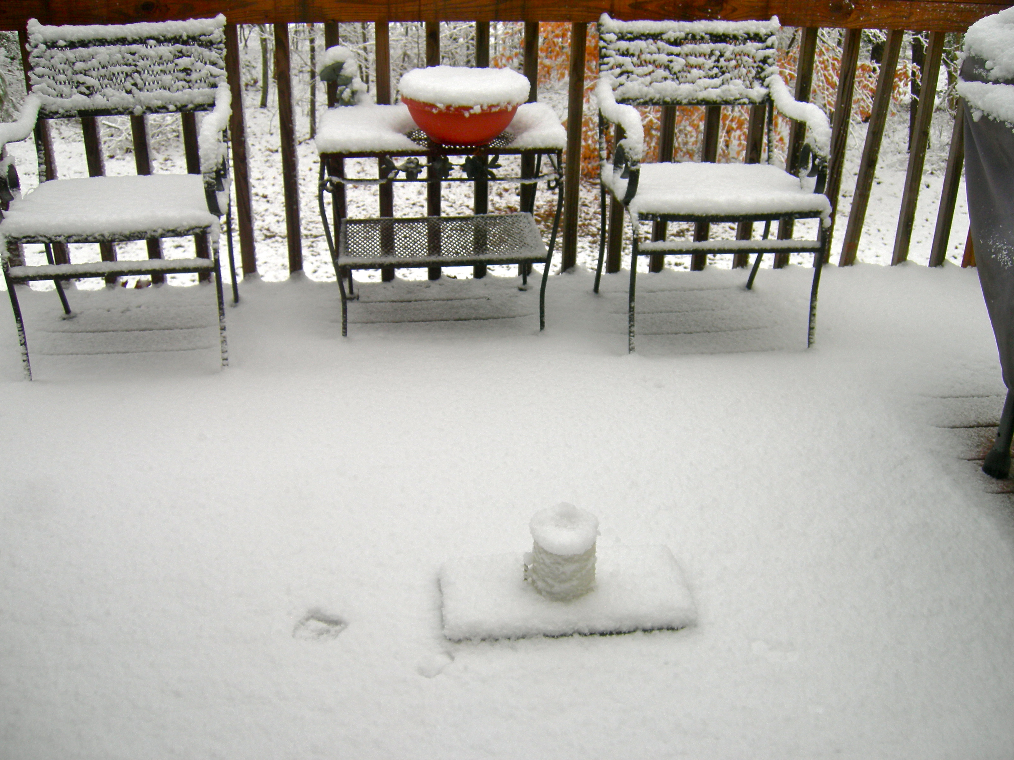 Back Yard Deck
