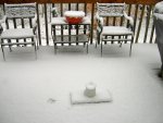 Back Yard Deck