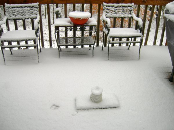 Back Yard Deck