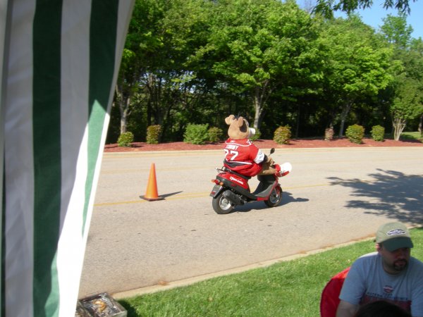 Stormy on his Scooter.jpg