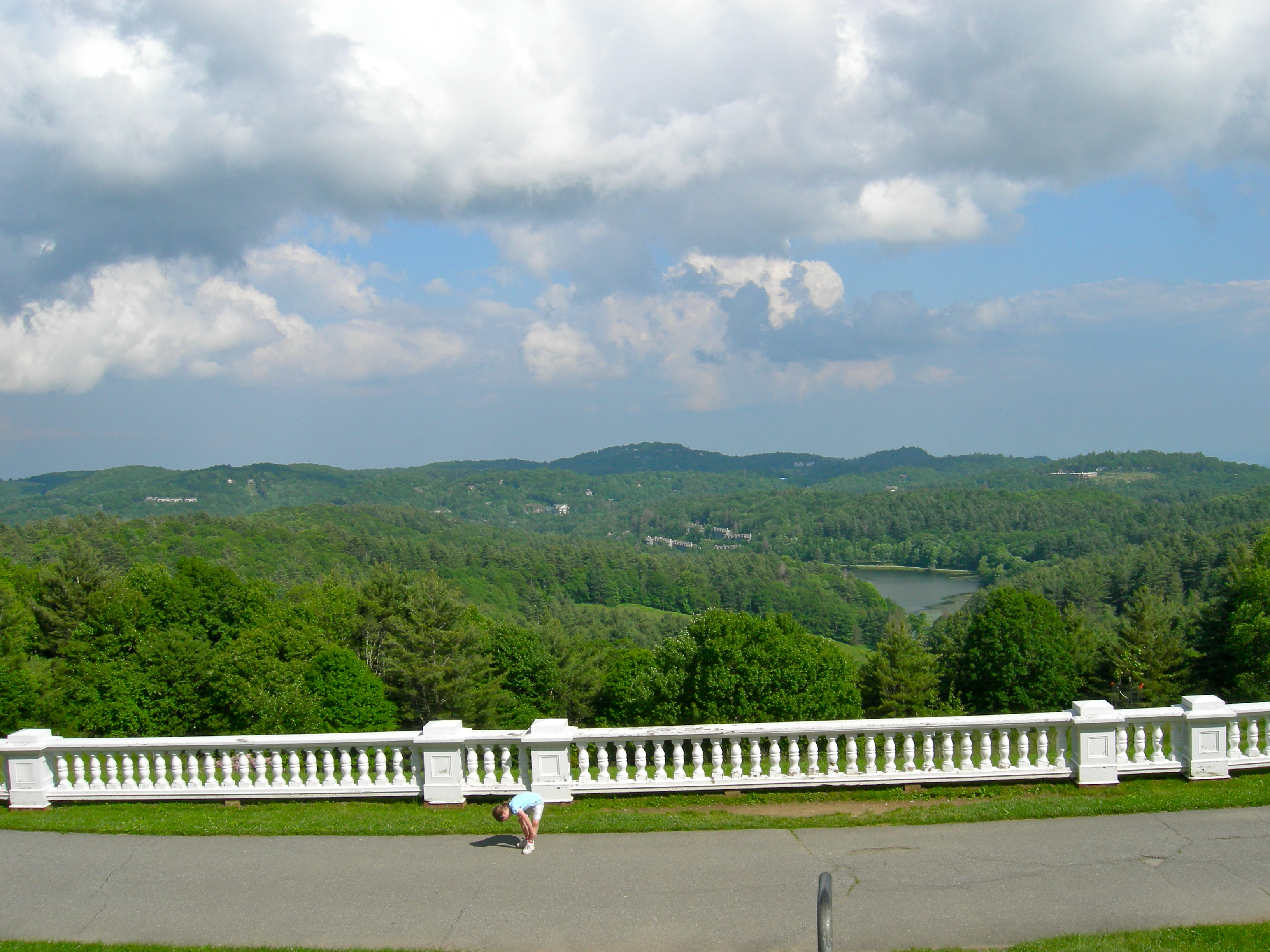 Looking out from Moses Cone.