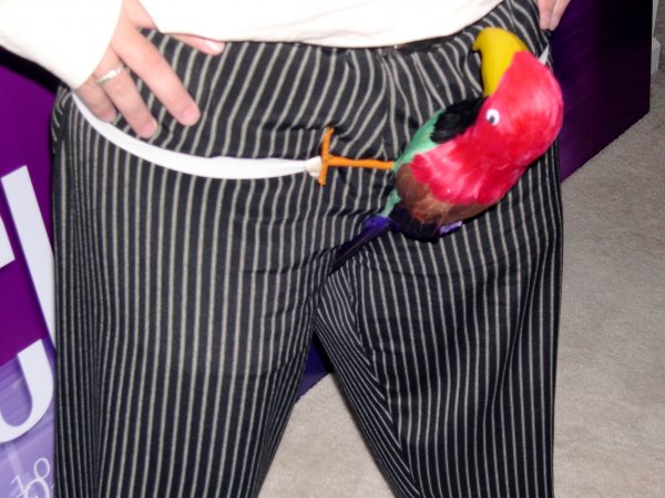 parrothead
