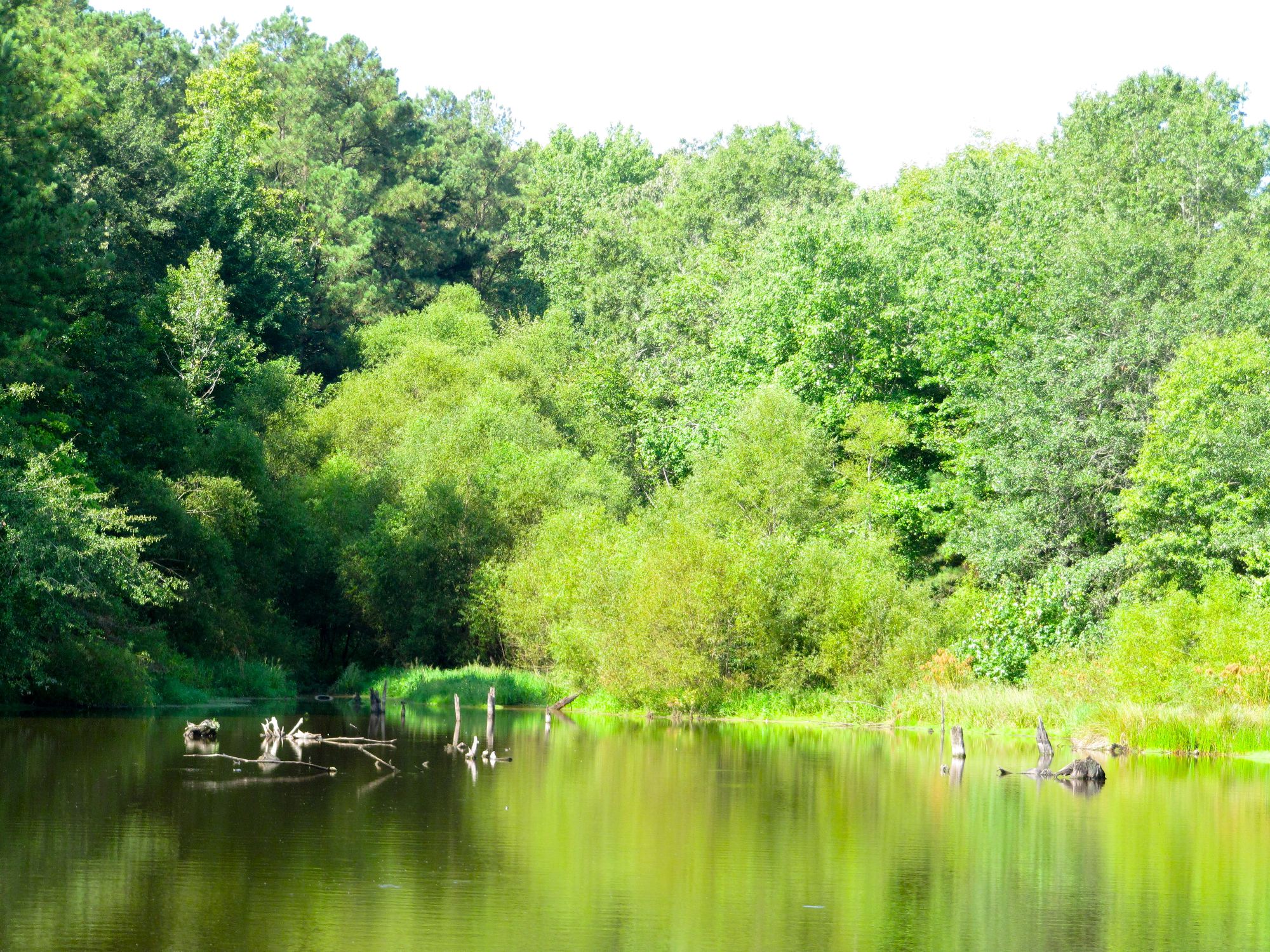 Sullivan's Pond
