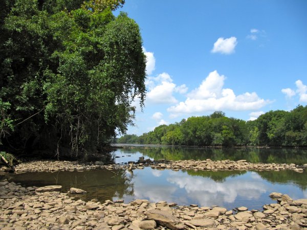 Pee Dee river