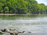 Pee Dee river