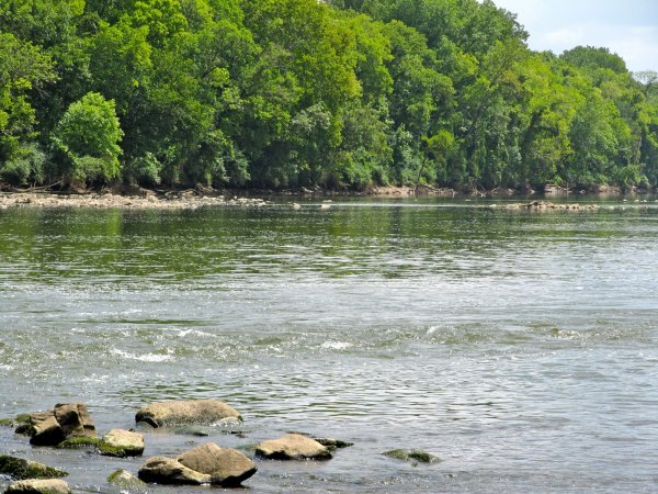 Pee Dee river