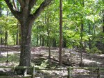the top of Morrow mountain