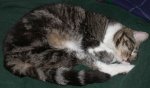 DSCN4998.JPG