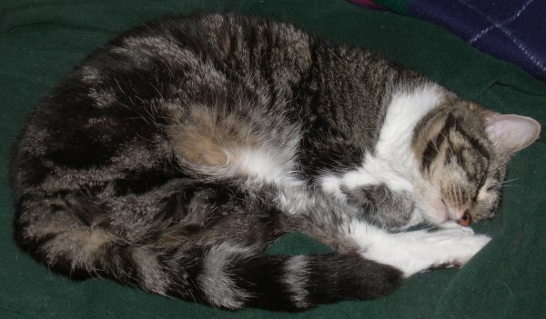 DSCN4998.JPG