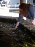 cynthia petting the rays