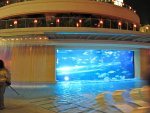 Golden Nugget aquarium water slide