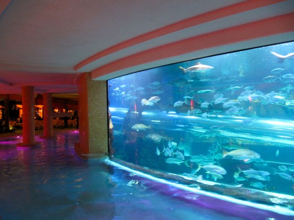 Golden Nugget aquarium water slide