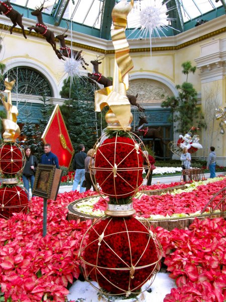 Bellagio conservatory: interesting flower stand