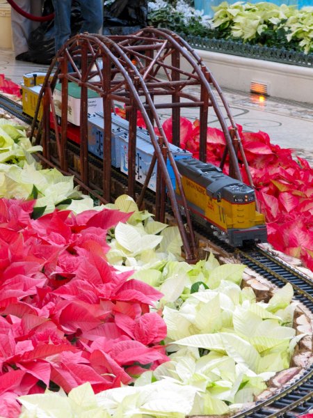 Bellagio conservatory: model train (outside track)