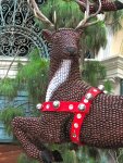 Bellagio conservatory: the reindeer is made of nuts