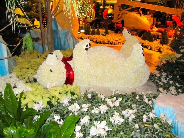 Bellagio conservatory: polar bear cub