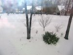 IMG_2824