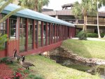 bridge attached to grandma and grandpa's building