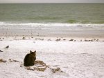 On the Beach