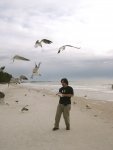ben feeding the birds (1)